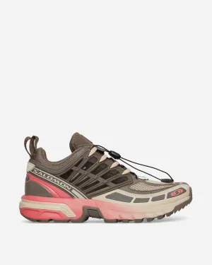 ACS Pro Sneakers Falke / Zuckerkoralle