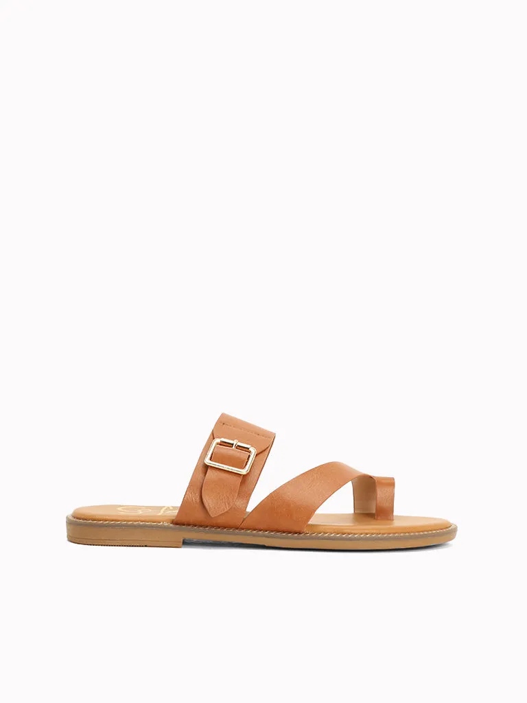 Paolo Flache Slides