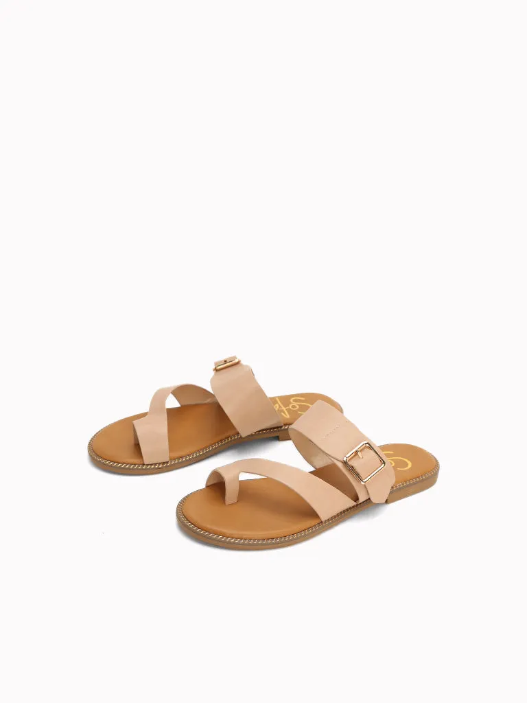 Paolo Flache Slides